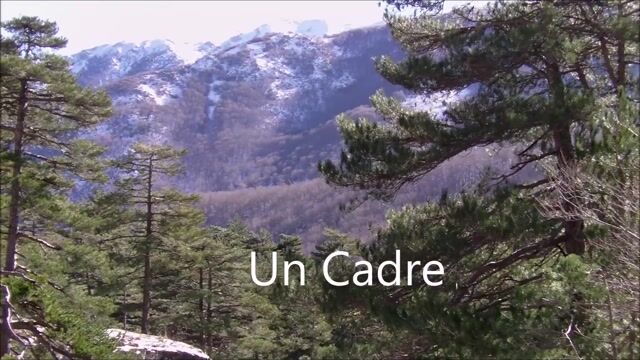 CORSICA NATURA
