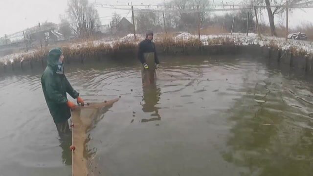 Pisciculteur d'étang un métier prometteur