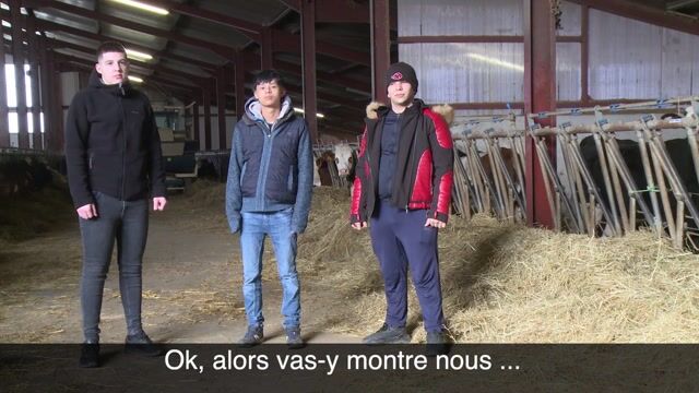 c'est vachement .... féminin