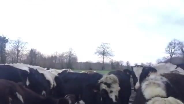 De générations en générations