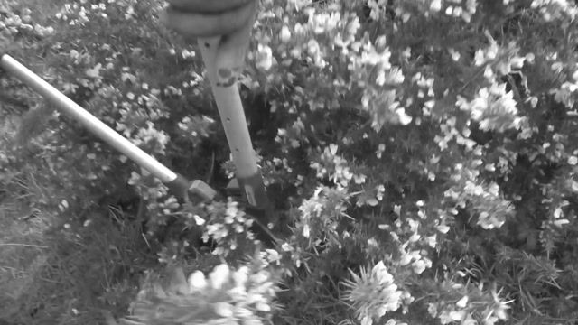 La nature, mon métier, ma passion
