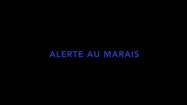 Alerte au marais