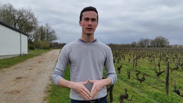 Technico-Commercial (e) en Vins & Spiritueux