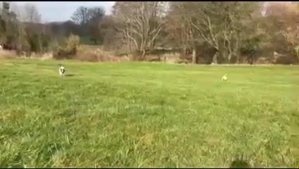 Ma petite ferme pédagogique