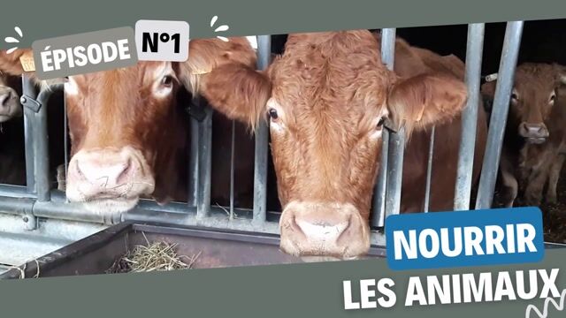 du pré à l'assiette