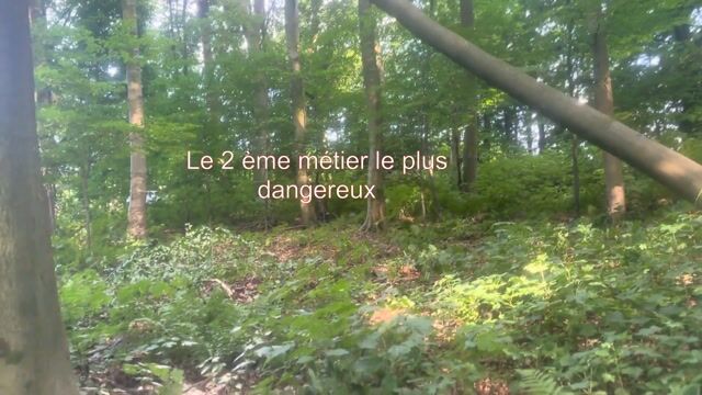 Les bucherons