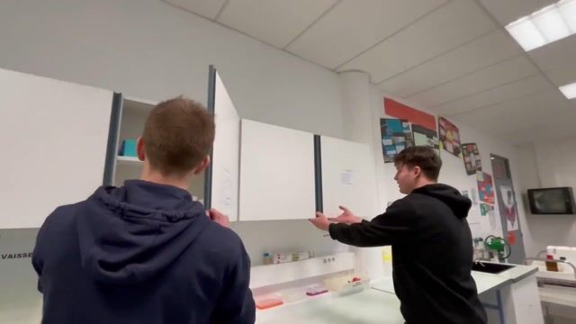 Analyse d'un aliment innovant en filière STL