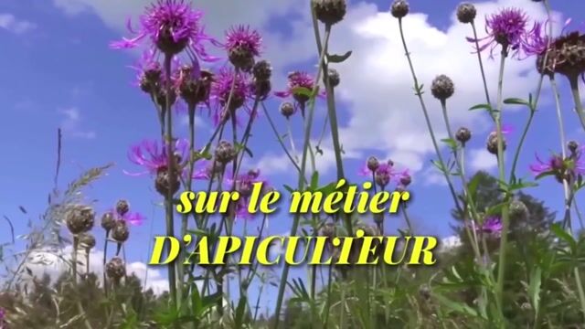 le métier d'apiculteur