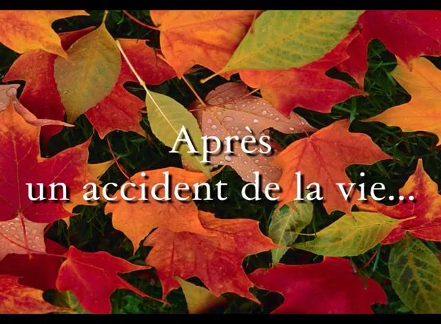 un regard vert