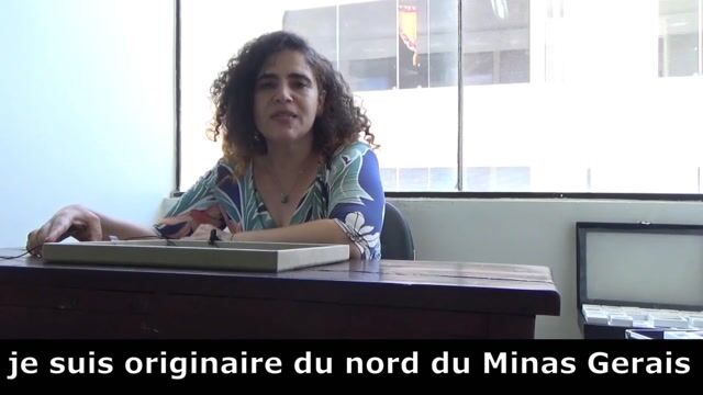 Dans la peau des minéraux