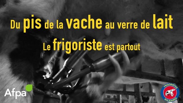 Du pis de la vache au verre de lait