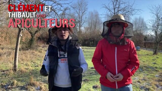 Apiculteur