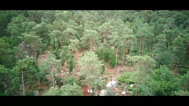 L'homme des bois