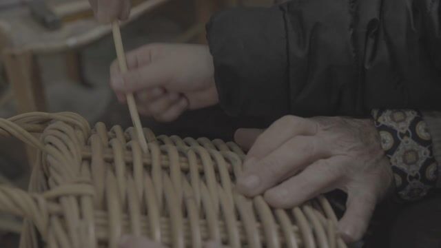 Les gardiens de la tresse