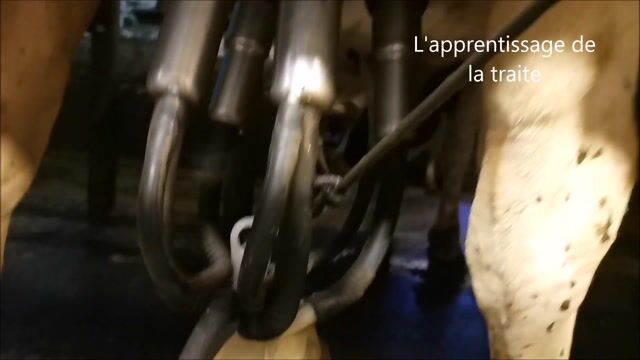 Comment j'ai eu envie de devenir agriculteur