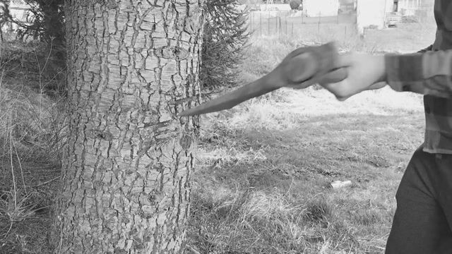 Le bûcheron à travers le temps