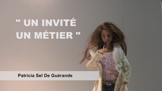 Animateur 2D/3D