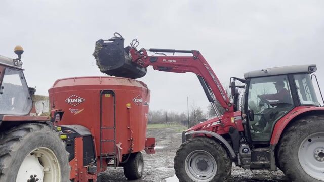 Eleveur de vaches laitières : un métier, plusieurs casquettes!