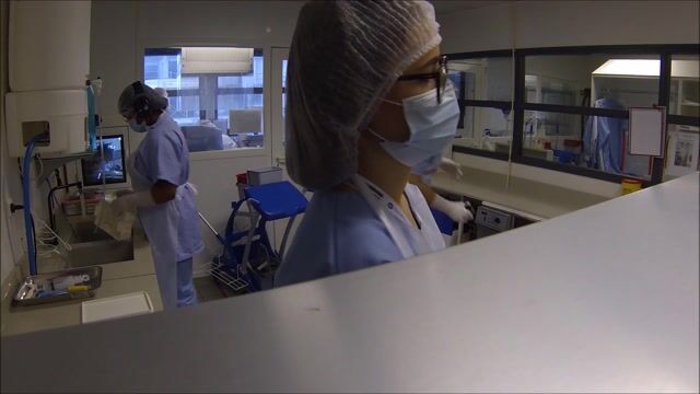 Bac pro hygiène propreté stérilisation lycée Anatole France Colombes