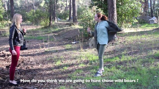 La chasse aux sangliers