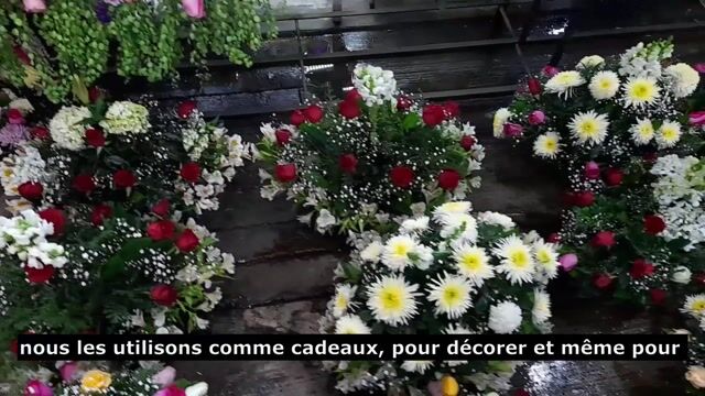 L'art des fleurs
