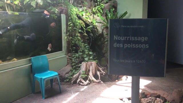 Soigneur à l'aquarium des lagons