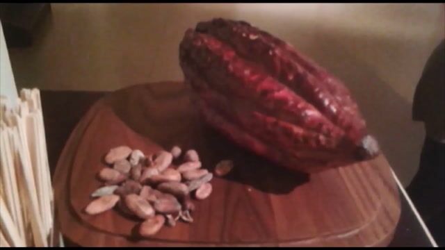 Chocolatier, métier ou aventure ?
