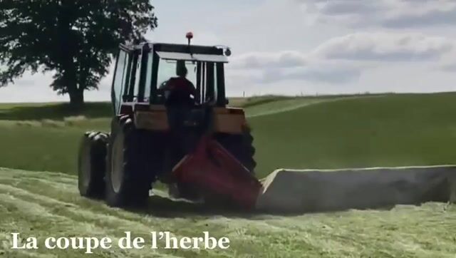 Du vert au moelleux