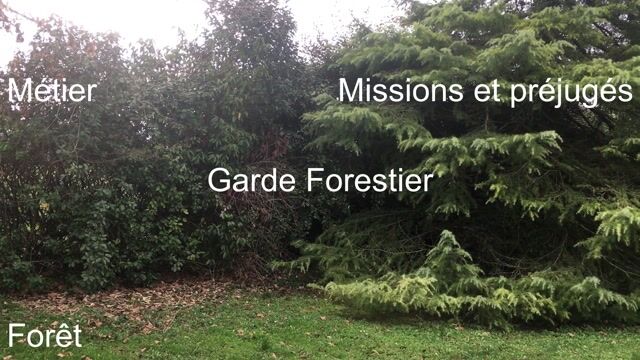Fact checking sur le métier de garde forestier