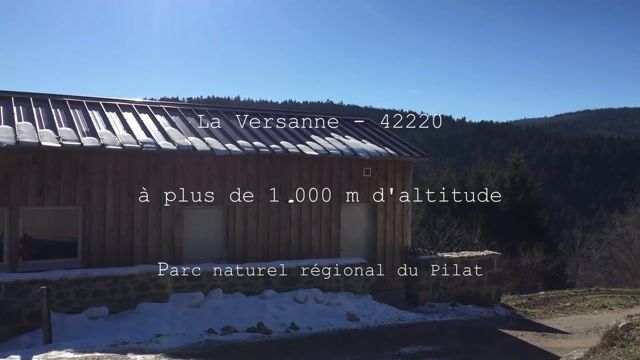 Les chèvres du Pilat