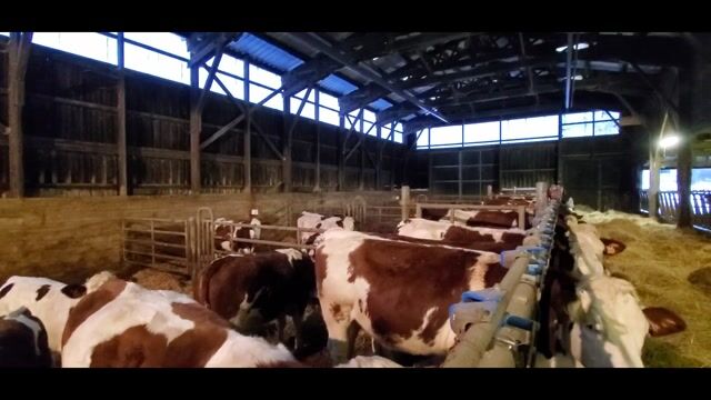 une journée à la ferme