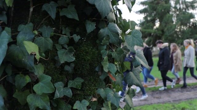 La formation, au cœur des animaux