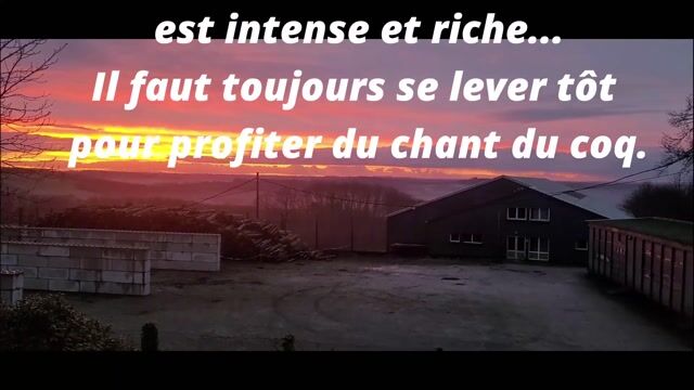 La mécanique du bonheur