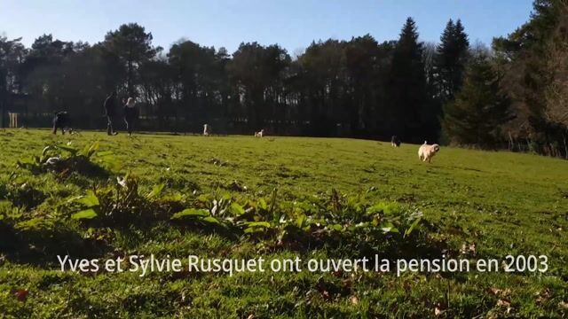Plus qu’une pension