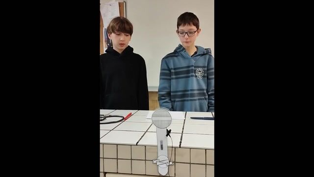 Les "SEGPA" et la Chercheuse