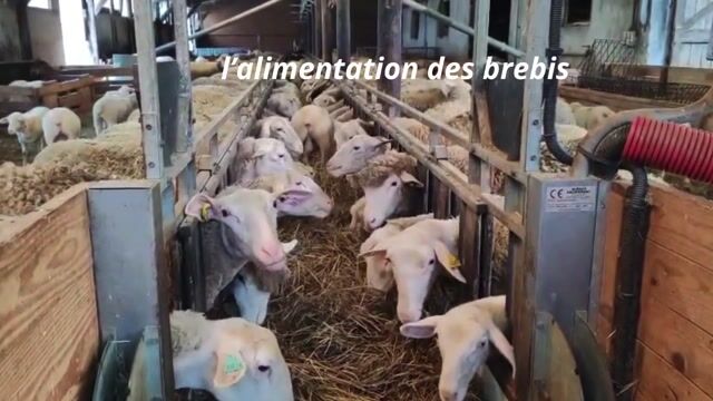 L'agriculture sous toutes ses formes