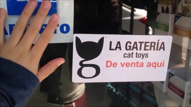 La découverte du vétérinaire