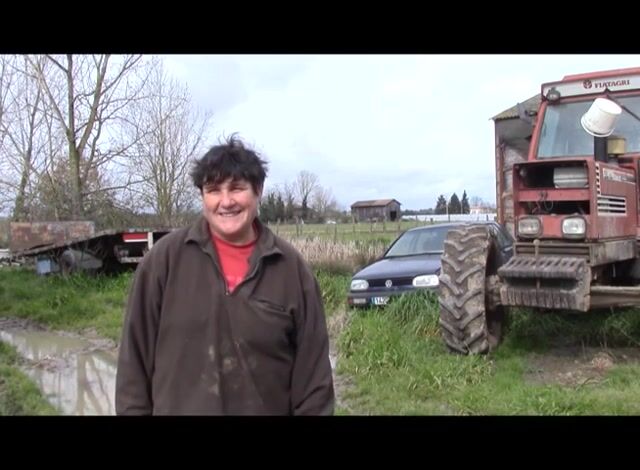 De la ferme au marché...