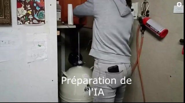 De l'insémination au vêlage