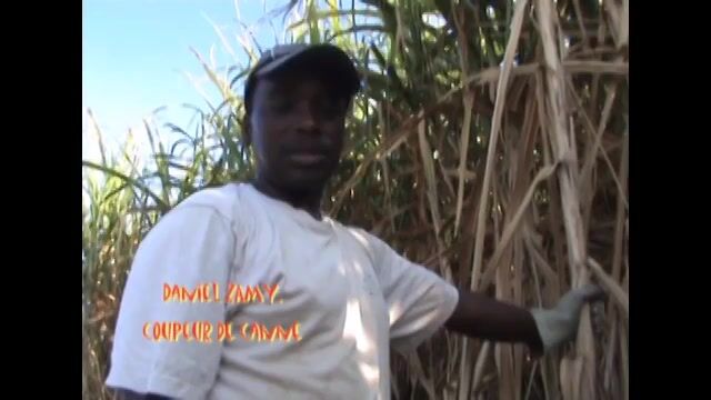 Coupeur de cannes à sucre