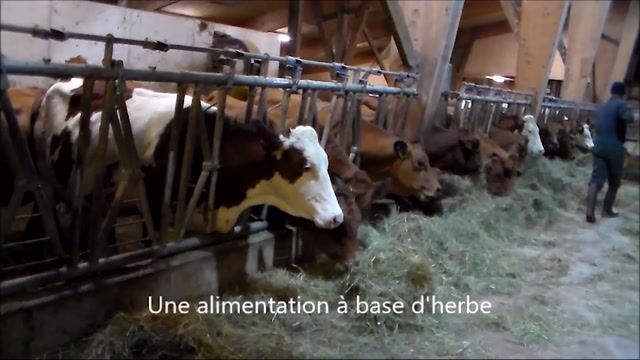 Eleveurs transformateurs, pas un fromage