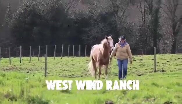 Le Wind West Ranch
