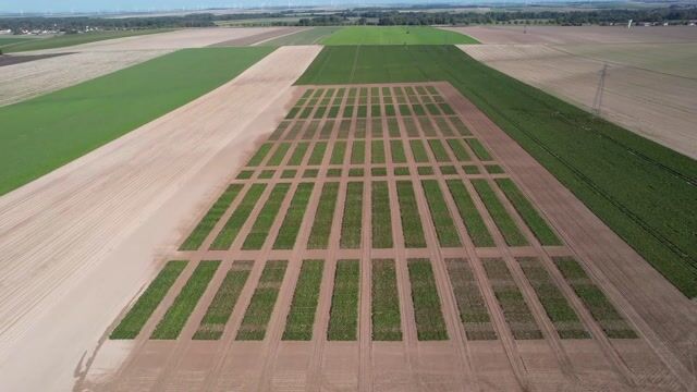 Une formation idéale pour une meilleure agriculture