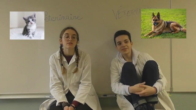 Veto à peu près