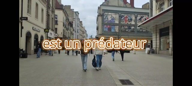 Architecte Prédator