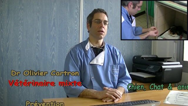 Vétérinaire, un métier qui a du mordant !