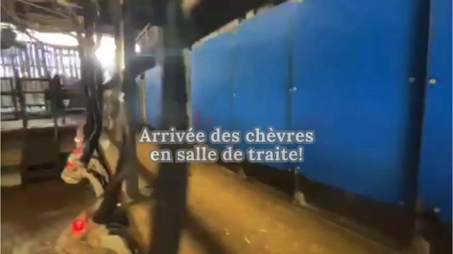 la chèvre
