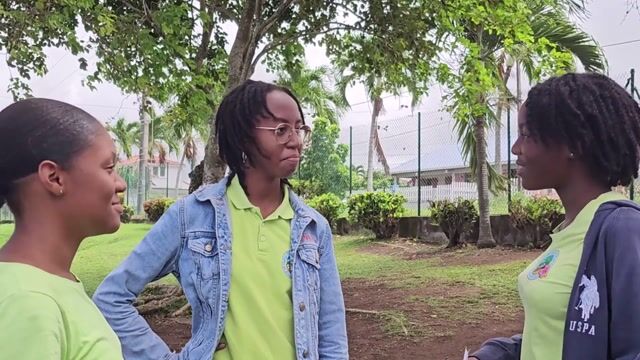 Bobby et la fée Sylda