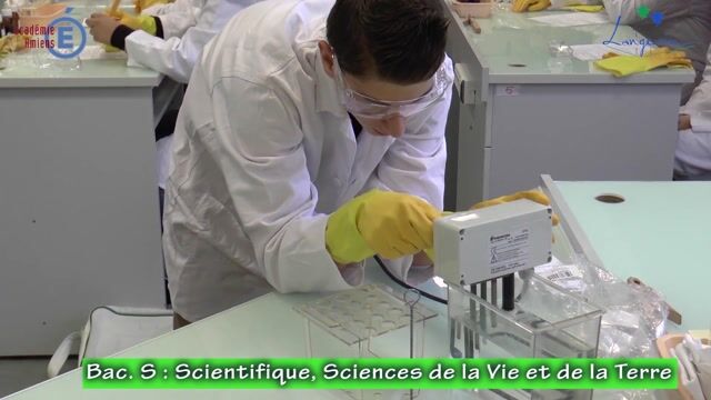 Le BAC S SVT au lycée Paul Langevin de Beauvais