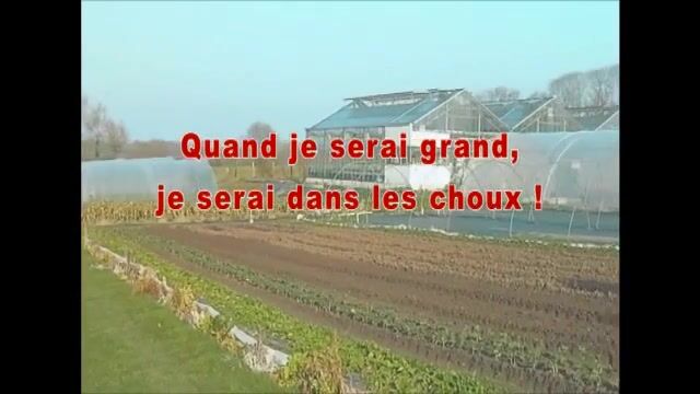 Quand je serai grand je serai dans les choux